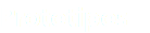 Prototipos